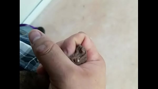 Nonton 54f1918f-b3ea-4747-9226-e2cfe05b80c0 thumbnail