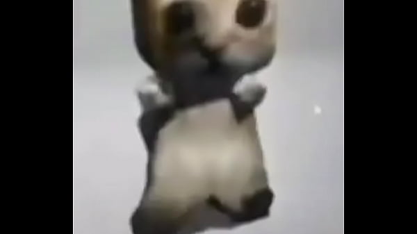 El gato dancing