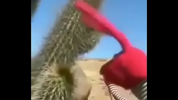 Incre&iacute;ble gemido de Bodoque 