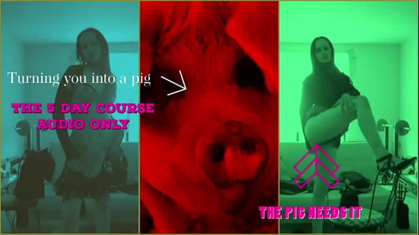 Learn How To Be A Pig The 5 Day Course thumbnail