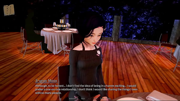 Play MP4 - Harem Hotel 411