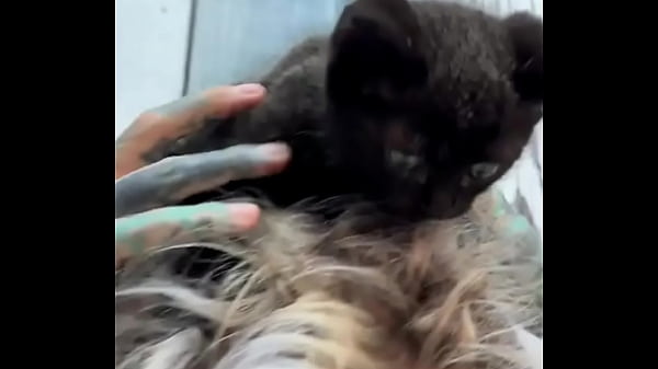 I love kitties chilling on my head ??Do you have a pets?#KittyLove #ChillVibes #PsylandBodysuit #Inkedmodel #Eyeba... 