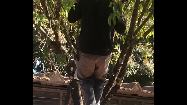 Garoto Trepando No Pau Em Aula thumbnail