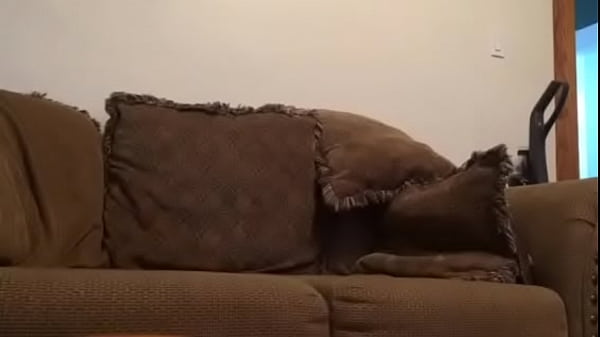 Nonton Pink Thong 2.mov thumbnail