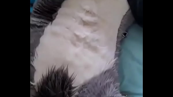 Fursuit gozando muito