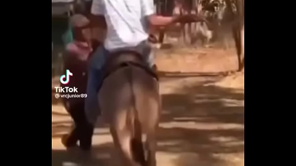 Nonton Gostosa Safada Phb thumbnail