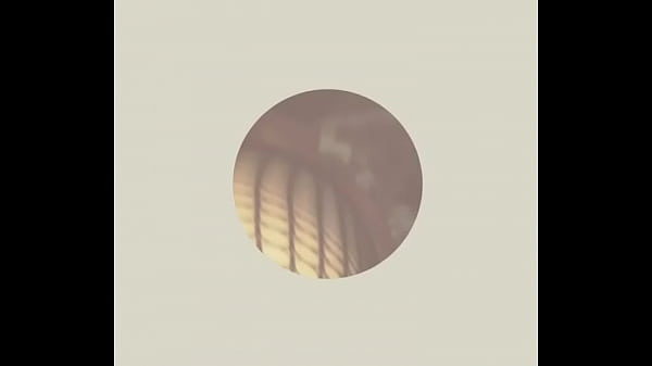 Nonton Evol Love thumbnail