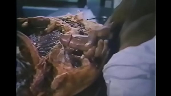 Hospital da Corrupcao edos Prazeres