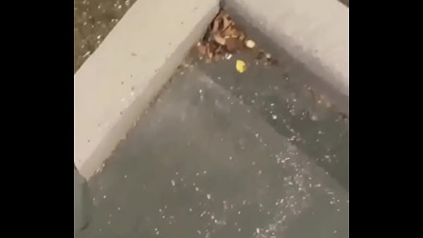 Things i do for free to stay warm when the weather gets cold such as wearing long pants with nuts hanging out of them because polecats love nuts