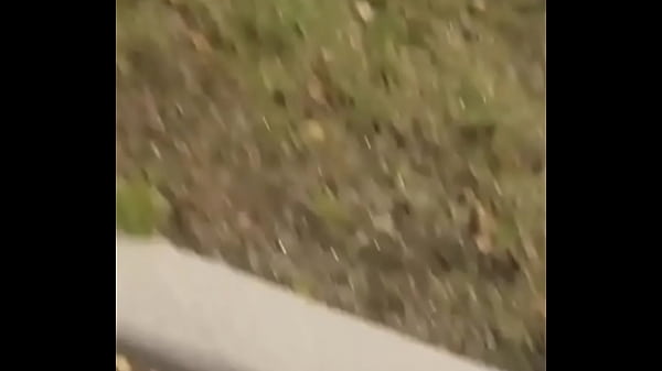 Things i do for free to stay warm when the weather gets cold such as wearing long pants with nuts hanging out of them because polecats love nuts 