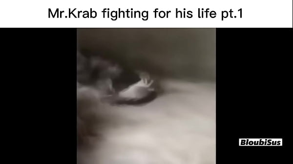 Top 5 scare sus videos 