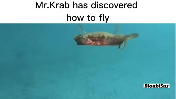 Top 5 Scare Mr.krabs (sus Videos) thumbnail