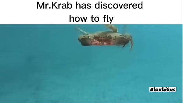 Top 5 dangerous Mr.Krabs