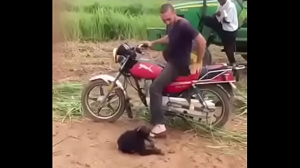 Play MP4 - VID-20170522-WA0339