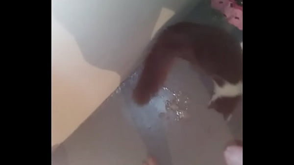 Me Jerking off my Big White Veiny Cock and Cumming my Huge Load