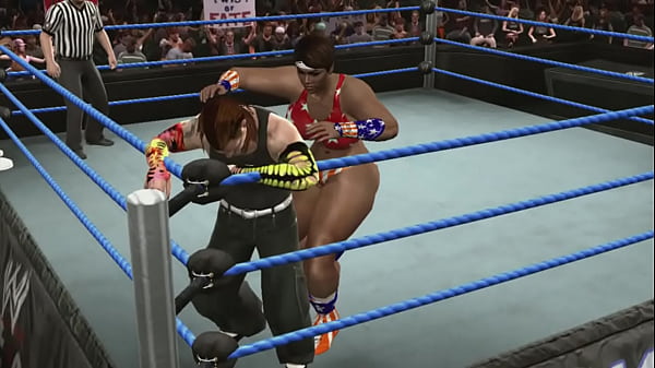 the_twin towers vs_the hardy boys