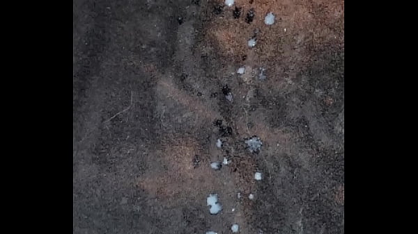 Play MP4 - Super load