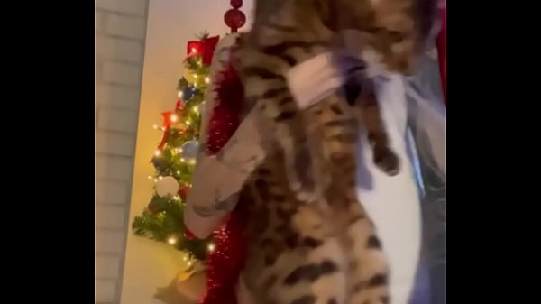 Nonton My Christmas Video Here! thumbnail