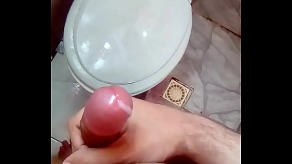 Gato invis&iacute;vel 