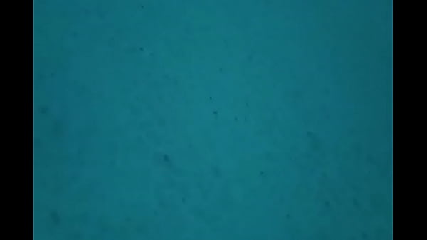 Video x&aacute_c minh