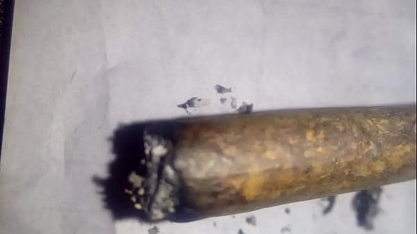 فيديو التحقق 