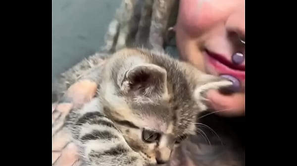 Play MP4 - Adorable kittens always make everything better &quest;Which animal brings you the most comfort&quest;&num;KittenLove &num;CuddleVibes &period;&period;&period;