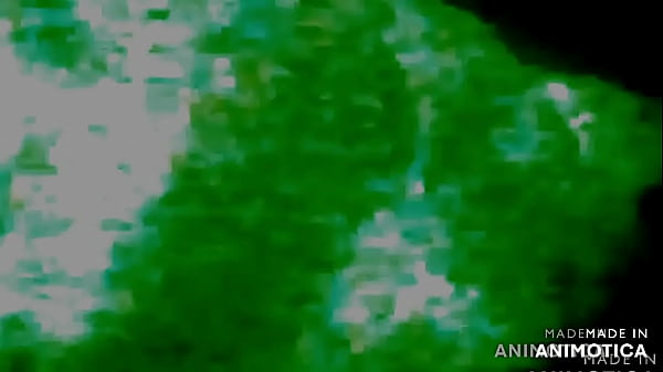 Mexytarte algo nuevo apoya colabora