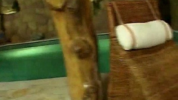 Nonton Euro Sluts Get Gaped 254 thumbnail