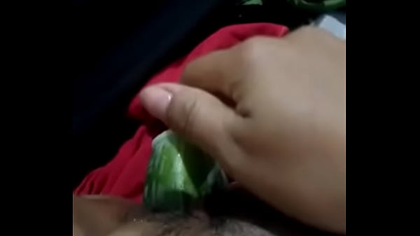 Cachorra enfiou umpepino