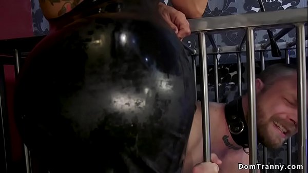 Play MP4 - Busty shemale mistress anal bangs male