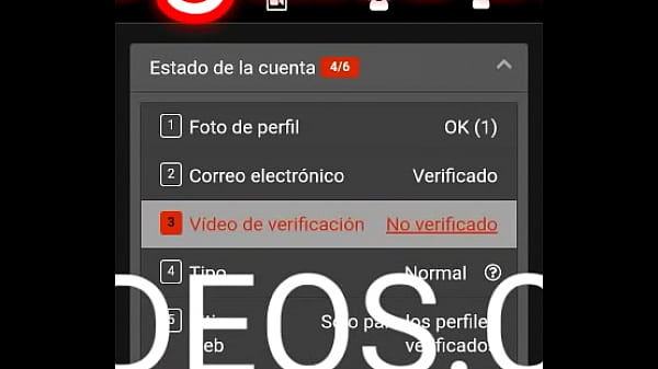 Verificaci&oacute_n