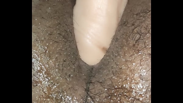 Novinho Fogo thumbnail