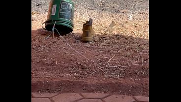 V&iacute;deo de verifica&ccedil;&atilde;o 