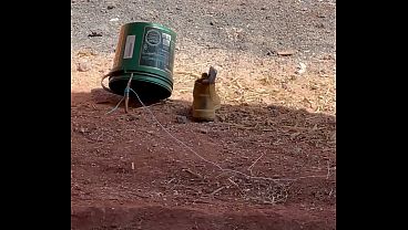 V&iacute_deo de verifica&ccedil_&atilde_o