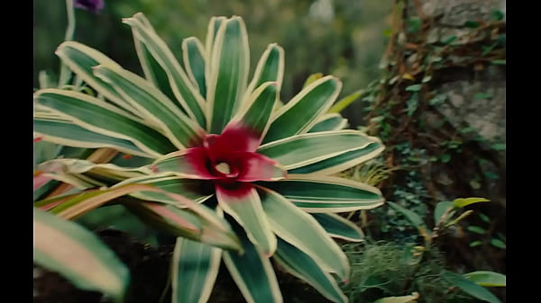 DUGSTER_FODENDO_GOSTOSO_OS TRAPPERS