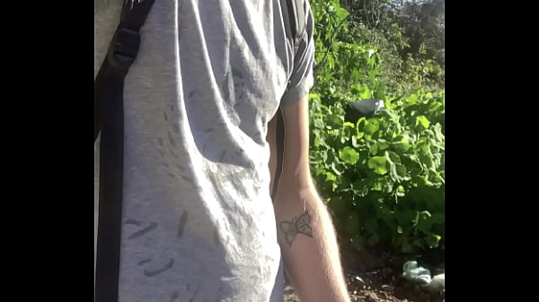 pig shows off in public 