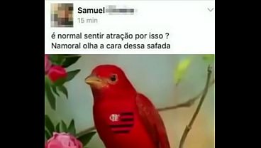 Gozar&aacute; thumbnail