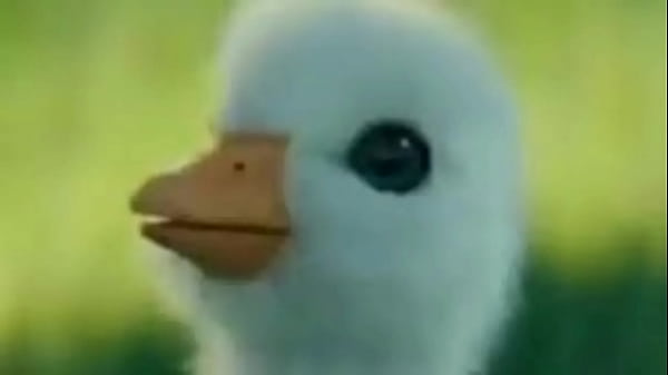 Sougaulex entrevista a putito chispos y terminan follando muy hot 