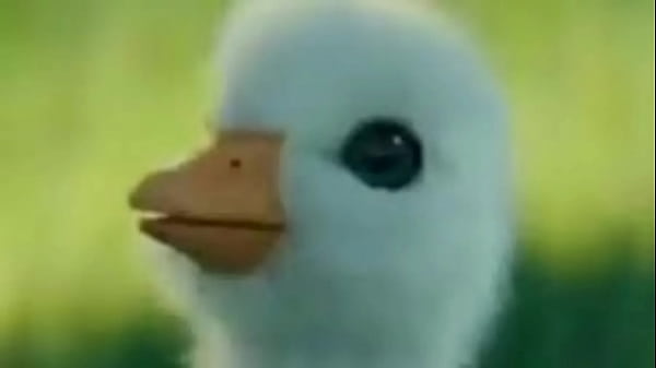 Nonton Sougaulex Entrevista A Putito Chispos Y Terminan Follando (muy Hot) thumbnail