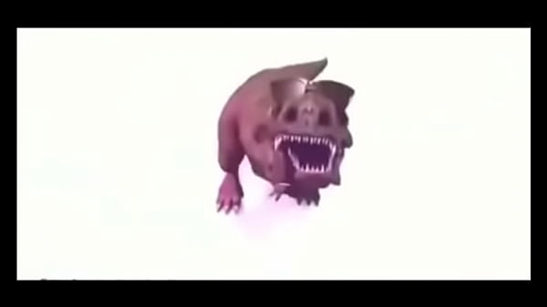 Sei n&atilde;o 