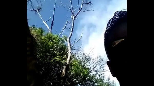 V&iacute_deo de verifica&ccedil_&atilde_o