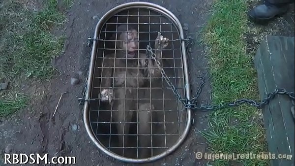 Sadomasochism images 