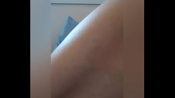 Carnaval 2025 foto e v&iacute;deo