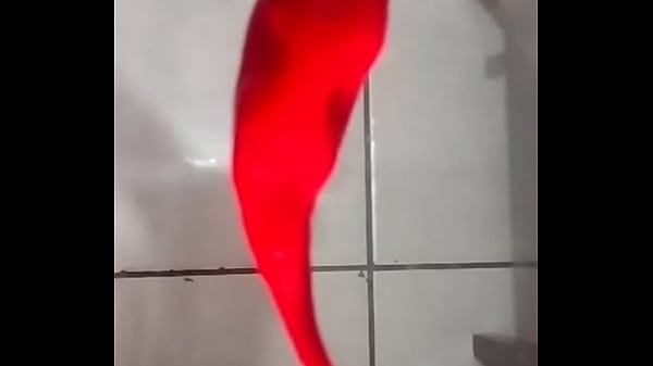 V&iacute_deo de verifica&ccedil_&atilde_o