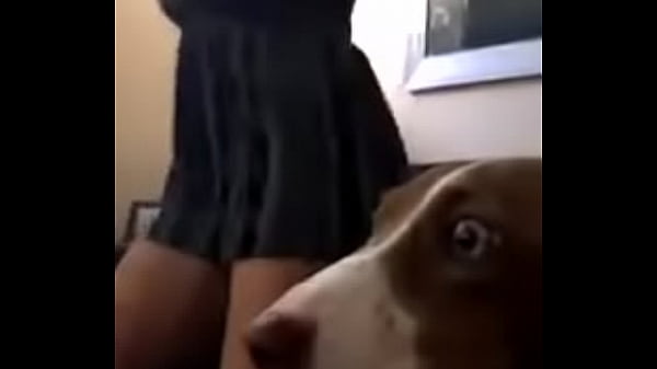 Play MP4 - Alguien sabe su nombre