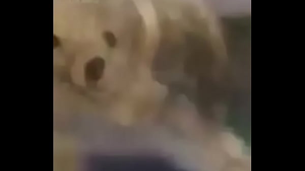 cinco m&aacute_s cinco