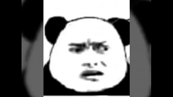 2 con ch&oacute_ lợn Học với Tuấn (9/12) mỗi đứa trả tao 40k