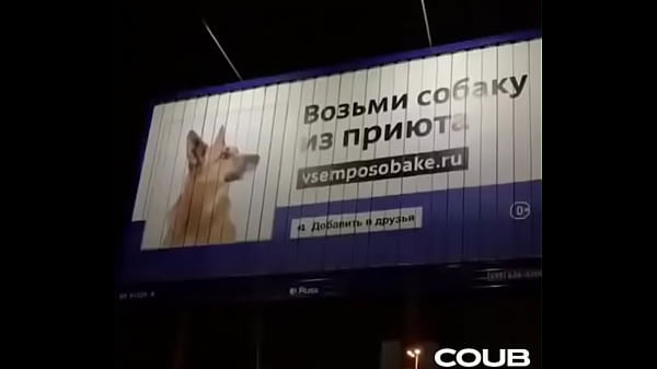 How Burgers Are Made (HD)