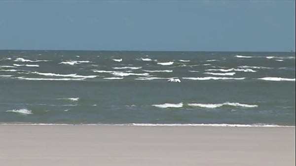 Nonton Threesome On Beach With Black Mom thumbnail