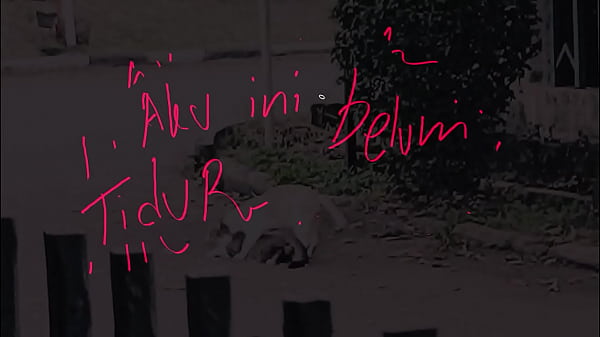 belumtidur pengen ngentot